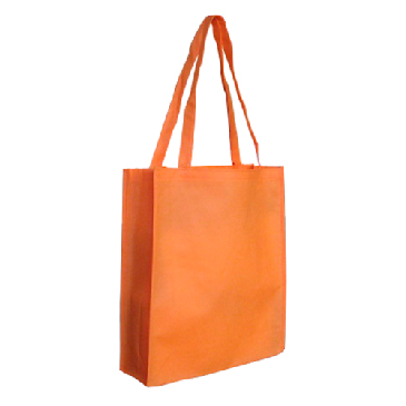 Non Woven Normal Bag with Gusset Image